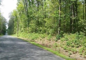 Lot 3 Mihaliak, Willington, 06279, ,Lots And Land For Sale,For Sale,Mihaliak,24018741