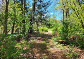 00 Conklin Rd, Stafford, 06076, ,Lots And Land For Sale,For Sale,Conklin Rd,24017776