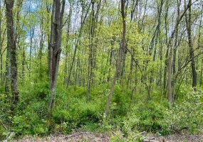 Old Toll Rd, Madison, 06443, ,Lots And Land For Sale,For Sale,Old Toll Rd,24018237