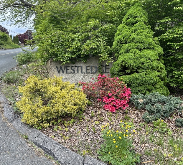 68 WESTLEDGE, Torrington, 06790, ,Lots And Land For Sale,For Sale,WESTLEDGE,24016501