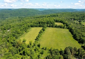 0 Chestnut Land, New Milford, 06776, ,Lots And Land For Sale,For Sale,Chestnut Land,24024823