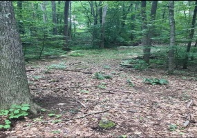 0 Thompson Hill, Portland, 06480, ,Lots And Land For Sale,For Sale,Thompson Hill,170612830