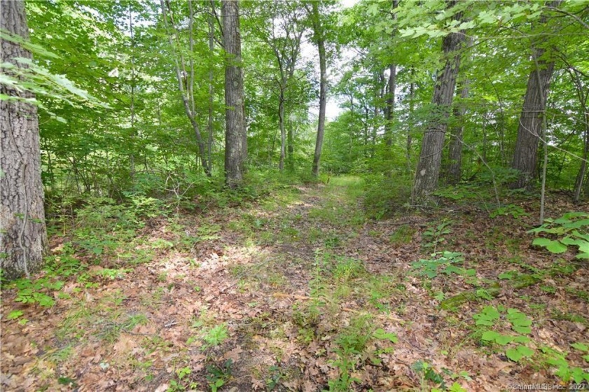 0 Farmwood, Waterbury, 06701, 0 , 0 ,0,Lots And Land For Sale,For Sale,Farmwood,0,170399553
