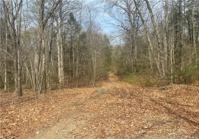 0 Old Mill, Wilton, 06897, 0 , 0 ,0,Lots And Land For Sale,For Sale,Old Mill,0,170562988