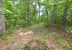 0 Montoe, Waterbury, 06701, 0 , 0 ,0,Lots And Land For Sale,For Sale,Montoe,0,170399588