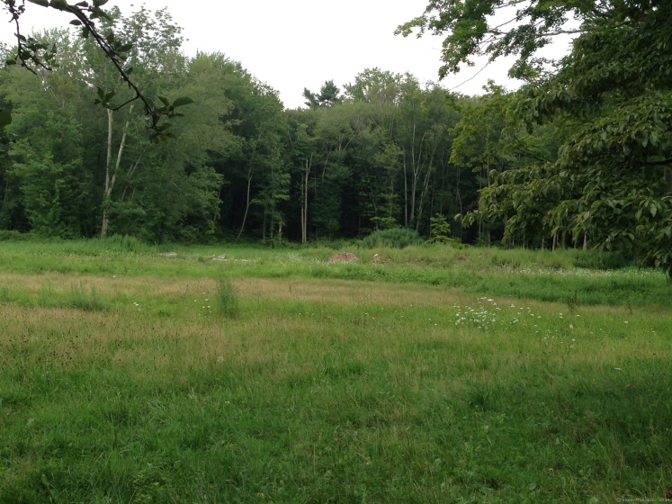 158L Carter, New Canaan, 06840, ,Lots And Land For Sale,For Sale,Carter,24027431