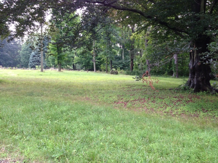 140L Carter, New Canaan, 06840, ,Lots And Land For Sale,For Sale,Carter,24027433