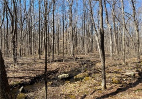 0 Andrew Mountain, Naugatuck, 06770, ,Lots And Land For Sale,For Sale,Andrew Mountain,170603648