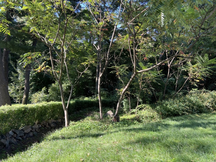 45 Sunnyledge, New Britain, 06052, ,Lots And Land For Sale,For Sale,Sunnyledge,24045938