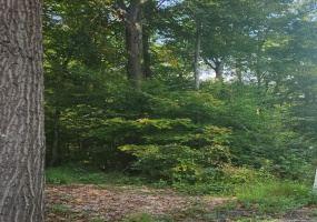 Waterbury, Cheshire, 06410, ,Lots And Land For Sale,For Sale,Waterbury,24047391