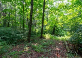 140A Plymouth, Plymouth, 06786, ,Lots And Land For Sale,For Sale,Plymouth,24047241