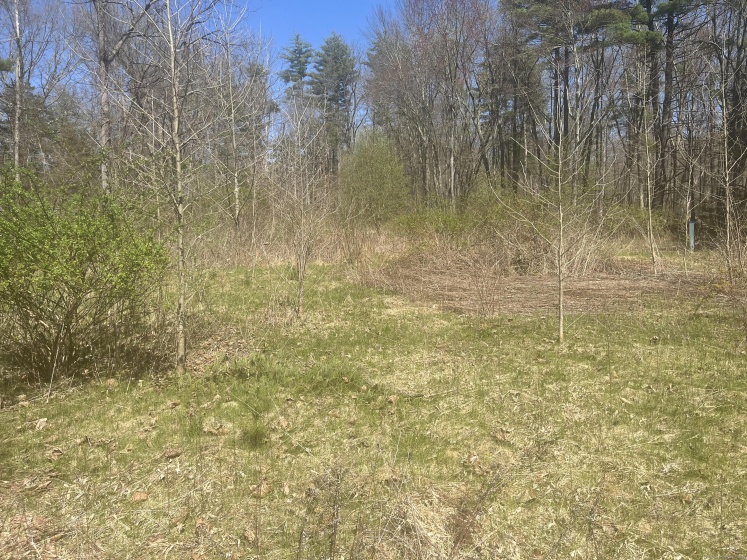 228 Waterville, Farmington, 06032, ,Lots And Land For Sale,For Sale,Waterville,24012471