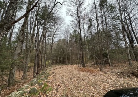 Center, Hartland, 06027, ,Lots And Land For Sale,For Sale,Center,24057022