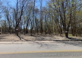 00 Winthrop St & E Elm, Torrington, 06790, 0 , 0 ,0,Lots And Land For Sale,For Sale,Winthrop St & E Elm,0,24072416
