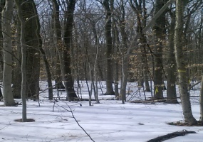 Suffield, Suffield, 06078, ,Lots And Land For Sale,For Sale,Suffield,24057050