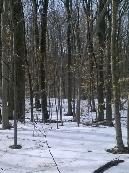 Suffield, Suffield, 06078, ,Lots And Land For Sale,For Sale,Suffield,24057050
