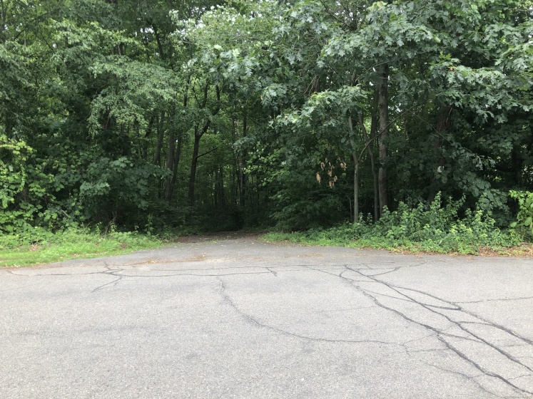 69 Washington, Plymouth, 06786, 0 , 0 ,0,Lots And Land For Sale,For Sale,Washington,0,24081791