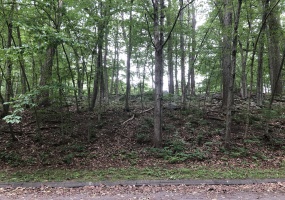 21 Coral, Plymouth, 06786, 0 , 0 ,0,Lots And Land For Sale,For Sale,Coral,0,24081801