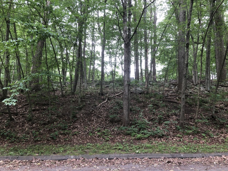 21 Coral, Plymouth, 06786, 0 , 0 ,0,Lots And Land For Sale,For Sale,Coral,0,24081801