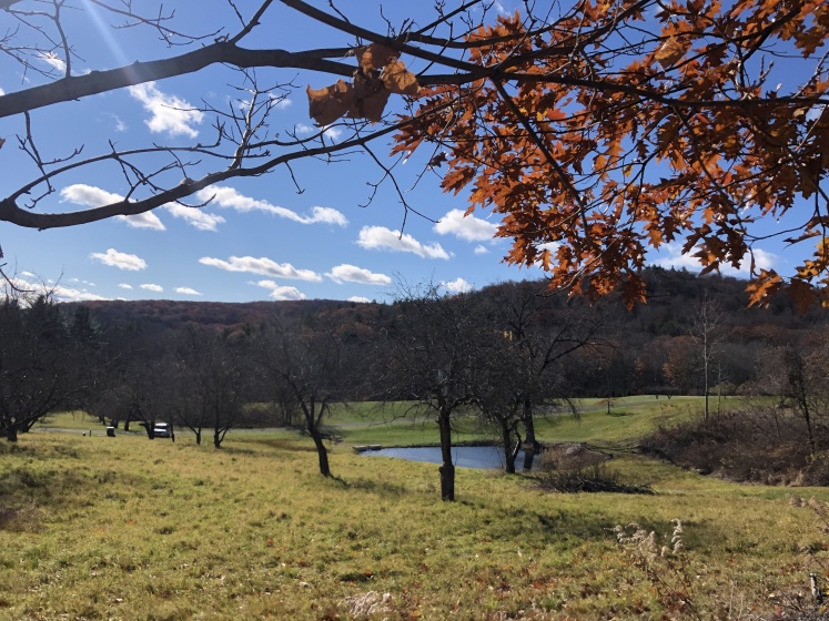 150B Peck Orchard, Hartland, 06027, ,Lots And Land For Sale,For Sale,Peck Orchard,24077027