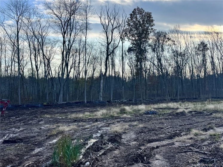 660R/674 Church Rear, Newington, 06111, 0 , 0 ,0,Lots And Land For Sale,For Sale,Church Rear,0,24085415