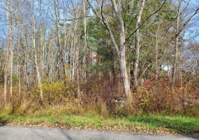 Brynmoor, Goshen, 06756, ,Lots And Land For Sale,For Sale,Brynmoor,170605627