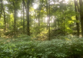 6716 Main, Trumbull, 06611, 0 , 0 ,0,Lots And Land For Sale,For Sale,Main,0,24101808