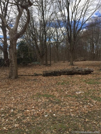 247 Main, East Hartford, 06118, ,Lots And Land For Sale,For Sale,Main,24104332