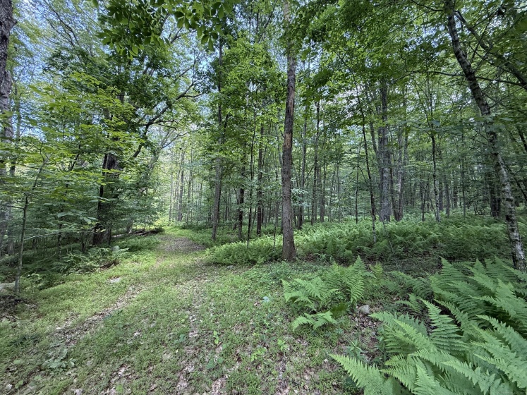 350 Breakneck Hill, Killingly, 06241, 0 , 0 ,0,Lots And Land For Sale,For Sale,Breakneck Hill,0,24105931