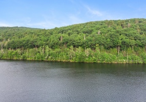 31 June, Washington, 06777, 0 , 0 ,0,Lots And Land For Sale,For Sale,June,0,24109277