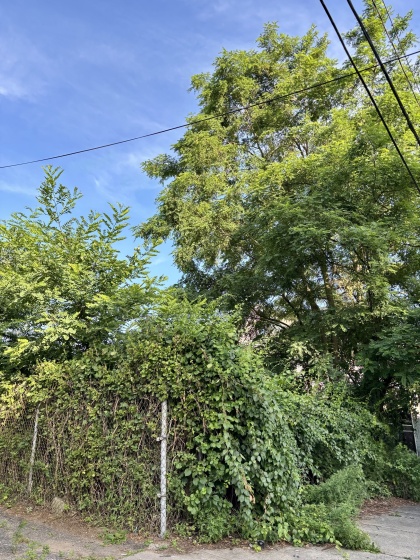 90 Lee, Bridgeport, 06605, 0 , 0 ,0,Lots And Land For Sale,For Sale,Lee,0,24110202