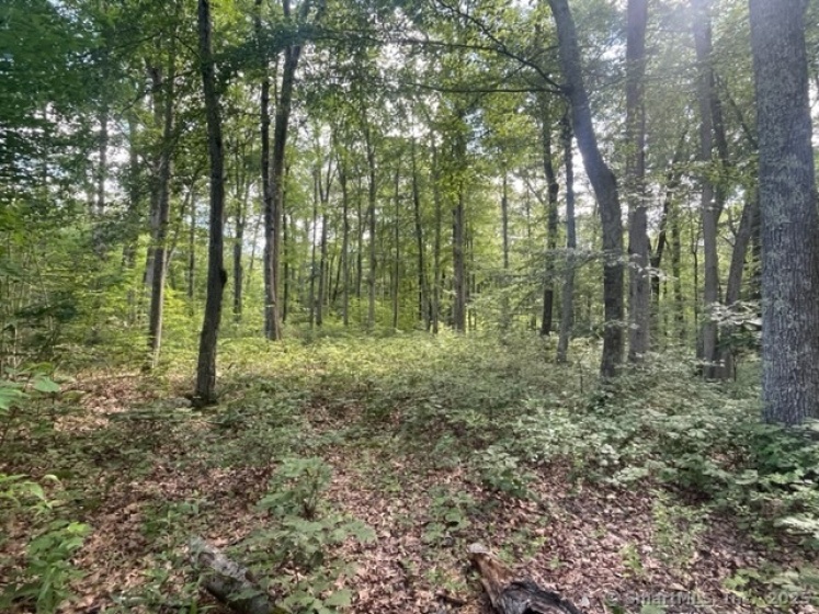24 Costa, Redding, 06896, ,Lots And Land For Sale,For Sale,Costa,24100667