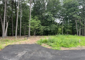 560 Marion, Southington, 06479, 0 , 0 ,0,Lots And Land For Sale,For Sale,Marion,0,24117623