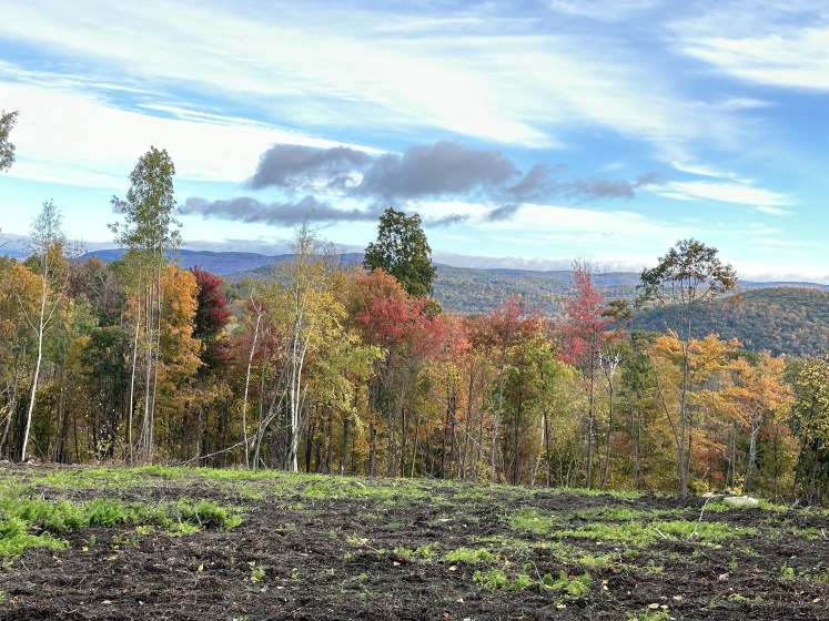 Swaller Hill, Sharon, 06069, 0 , 0 ,0,Lots And Land For Sale,For Sale,Swaller Hill,0,24065338