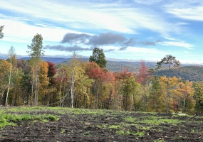 Swaller Hill, Sharon, 06069, 0 , 0 ,0,Lots And Land For Sale,For Sale,Swaller Hill,0,24117863