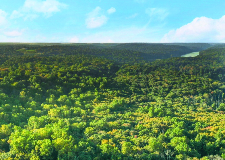 June, Stamford, 06904, 0 , 0 ,0,Lots And Land For Sale,For Sale,June,0,24118127