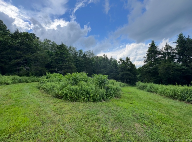 135 Noble Hill, Montville, 06370, 0 , 0 ,0,Lots And Land For Sale,For Sale,Noble Hill,0,24120238