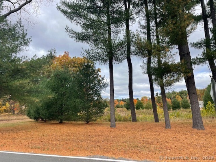 175 Stafford, Somers, 06071, 0 , 0 ,0,Lots And Land For Sale,For Sale,Stafford,0,24020244