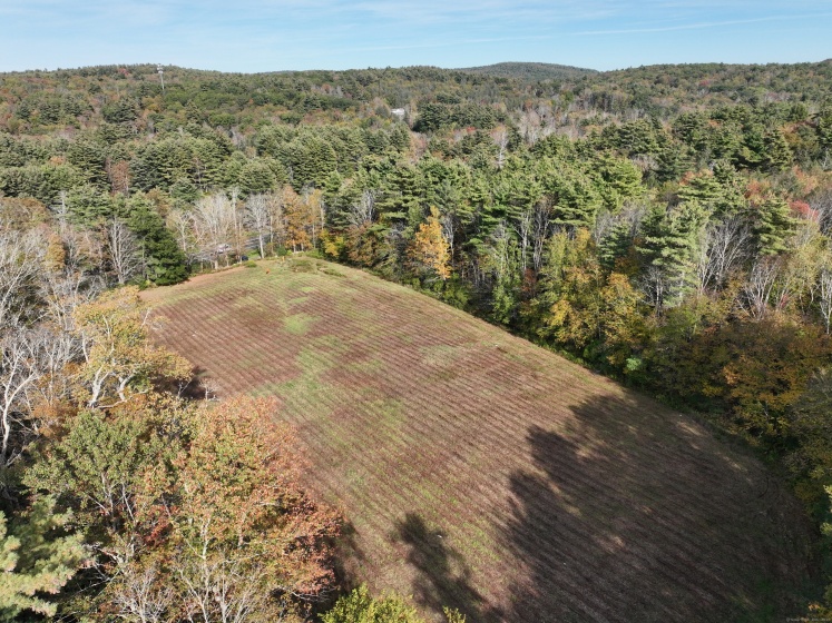000000 Norfolk, Winchester, 06098, 0 , 0 ,0,Lots And Land For Sale,For Sale,Norfolk,0,24131284