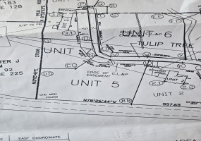 6 Tulip Tree, Bethlehem, 06751, 0 , 0 ,0,Lots And Land For Sale,For Sale,Tulip Tree,0,24131632 6 Tulip Tree, Bethlehem, 06751, 0 , 0 ,0,Lots And Land For Sale,For Sale,Tulip Tree,0,24131632