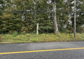 208 South, New Hartford, 06057, 0 , 0 ,0,Lots And Land For Sale,For Sale,South,0,24125571 208 South, New Hartford, 06057, 0 , 0 ,0,Lots And Land For Sale,For Sale,South,0,24125571
