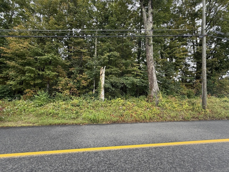 208 South, New Hartford, 06057, 0 , 0 ,0,Lots And Land For Sale,For Sale,South,0,24125571