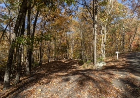 4 Laurel, Clinton, 06413, 0 , 0 ,0,Lots And Land For Sale,For Sale,Laurel,0,24135587 4 Laurel, Clinton, 06413, 0 , 0 ,0,Lots And Land For Sale,For Sale,Laurel,0,24135587