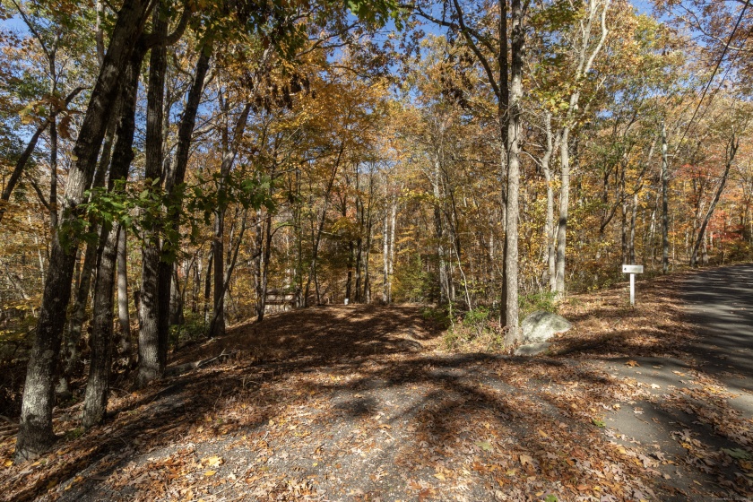 4 Laurel, Clinton, 06413, 0 , 0 ,0,Lots And Land For Sale,For Sale,Laurel,0,24135587