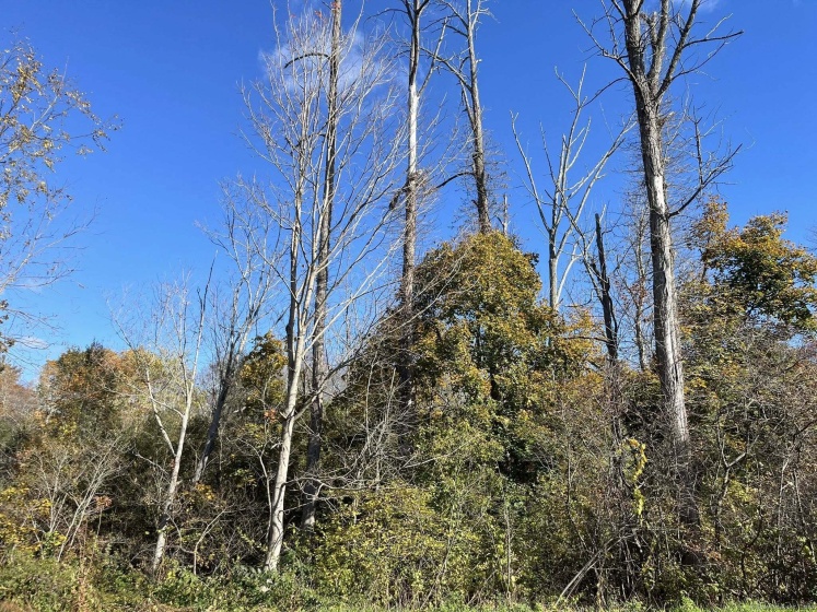 200 W. West Hill Rd, Barkhamsted, 06063, 0 , 0 ,0,Lots And Land For Sale,For Sale,W. West Hill Rd,0,24136430