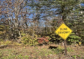 18 Niles, New Hartford, 06057, 0 , 0 ,0,Lots And Land For Sale,For Sale,Niles,0,24136308 18 Niles, New Hartford, 06057, 0 , 0 ,0,Lots And Land For Sale,For Sale,Niles,0,24136308