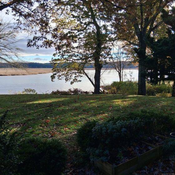 85 River, Essex, 06426, 3 Bedrooms Bedrooms, 0 ,1 BathroomBathrooms,Condo/co-op For Sale,For Sale,River,0,24137167
