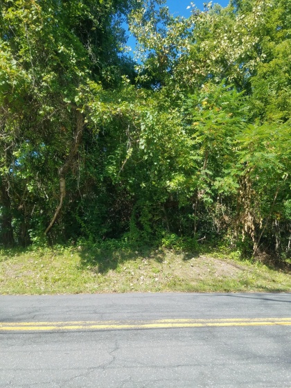 28 & 33 River, Cromwell, 06416, 0 , 0 ,0,Lots And Land For Sale,For Sale,River,0,24125037