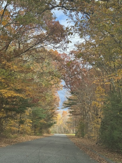 86 Buff Cap, Tolland, 06084, 2 Bedrooms Bedrooms, 0 ,2 BathroomsBathrooms,Residential Rental,For Sale,Buff Cap,0,24136724