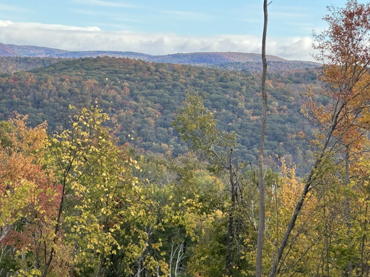 39 Swaller Hill, Sharon, 06069, 0 , 0 ,0,Lots And Land For Sale,For Sale,Swaller Hill,0,24141835